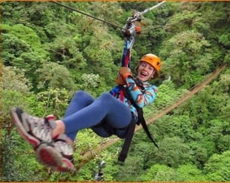 Zipline Tree Trek sobre el bosque nuboso